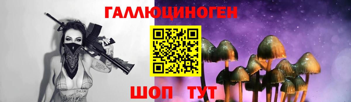 Барабинск  Галлюциногенные грибы мицелий  Вход с VPN 